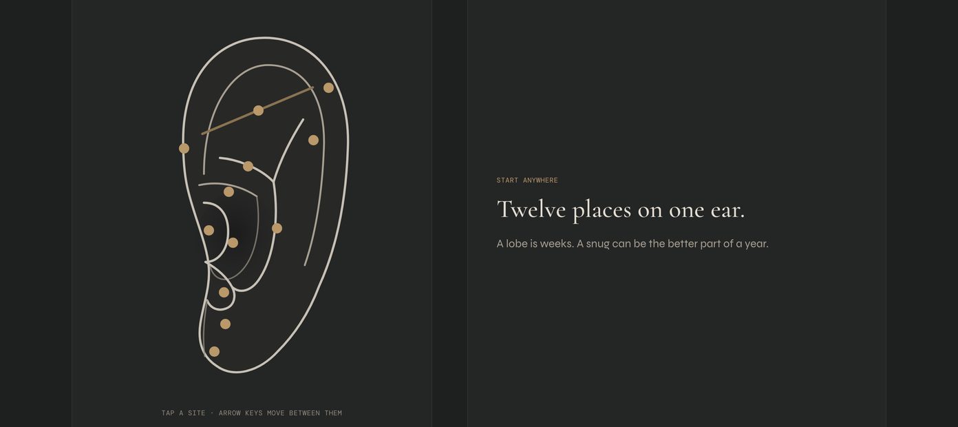 Section of a piercing studio website: a drawn ear with twelve placements marked in gold, beside the words twelve places on one ear.